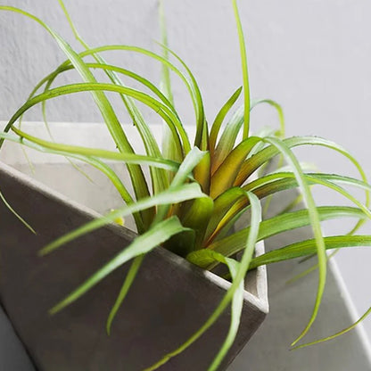 Modern Decorative Wall Vase - product image 03